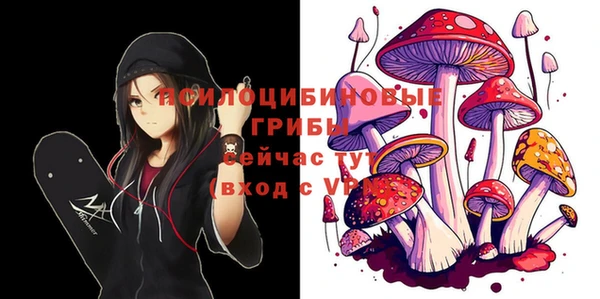 ГАЛЛЮЦИНОГЕННЫЕ ГРИБЫ Балахна